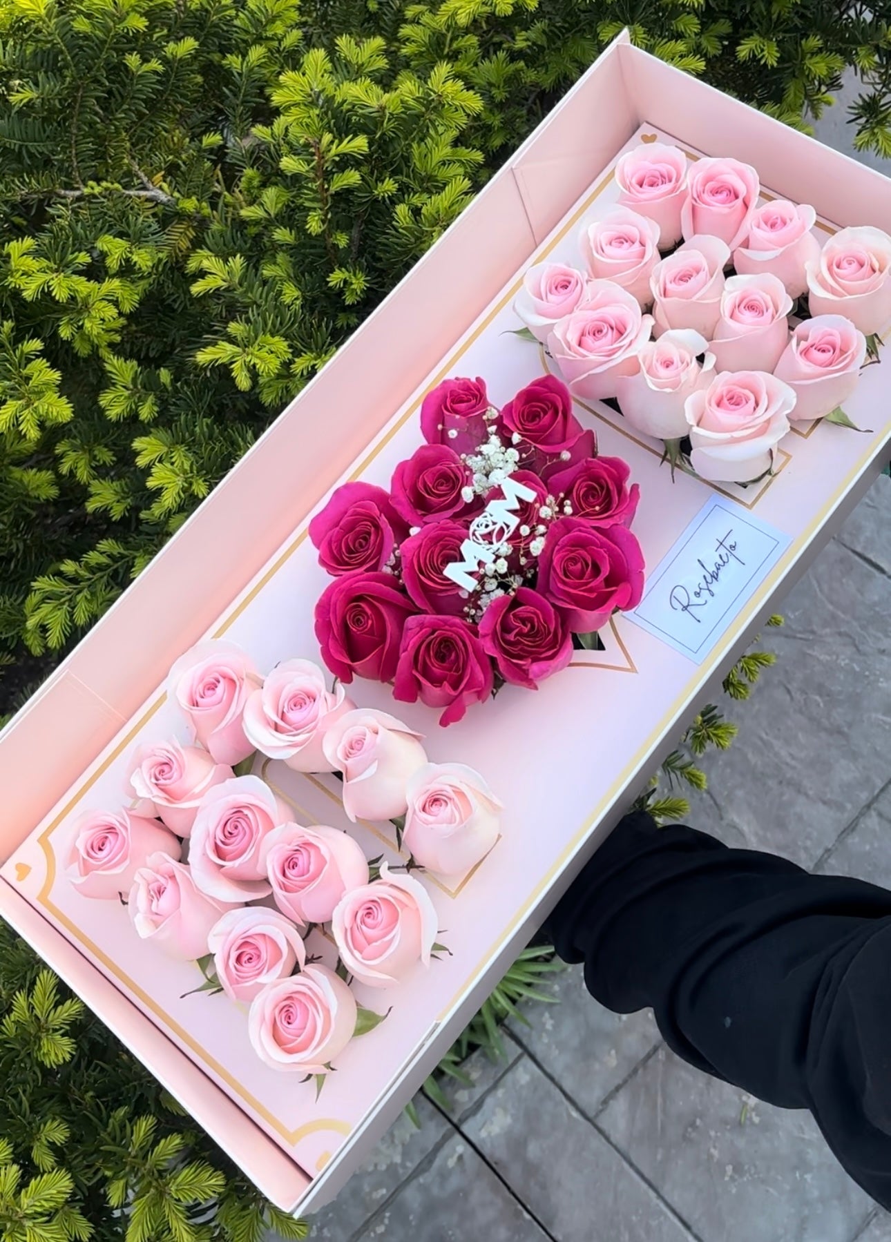 M♥️M Roses